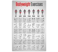 Targa in metallo con insegna in latta - Insegna in metallo con infografica sugli esercizi a corpo libero, poster sulla conoscenza del fitness per palestra, casa, club, decorazione da parete, 8x12 pol