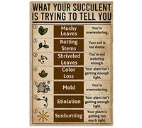 Targa in metallo con la scritta "Cosa sta cercando di dirti la tua succulenta" in stile vintage, decorazione da giardino, poster, decorazione da parete per la casa, 12x16 pollici