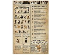 Targa in metallo con scritta "Chihuahua Knowledge", Conosci il tuo Chihuahua, poster in alluminio, negozio di animali, fattoria, scuola, istruzione, casa, cucina, decorazione da parete, 12x16 polli