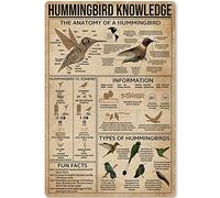 Targa in metallo con scritta "Hummingbird Knowledge", poster con infografica sull'anatomia di un colibrì, decorazione per casa, cucina, bar, caffetteria, club, 12x16 pollici