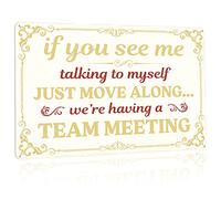 Targa in metallo con scritta "If You See Me Talking To Myself We're having a team meeting", 30,5 x 20,3 cm