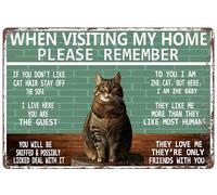 Targa in metallo con scritta in inglese "When Visiting My Home Please Remember - Divertente gattino carino" per giardinaggio, cortile, patio, decorazione da parete, 30,5 x 40,6 cm