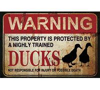 Targa in metallo con scritta in lingua inglese "For This Property is Protected by Highly Trained Duck", stile vintage, pittura in ferro, per interni ed esterni, decorazione da parete per casa, bar