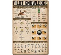 Targa in metallo con scritta "Pilot Knowledge", 30,5 x 20,3 cm, stile vintage, divertente, decorazione da parete, idea regalo