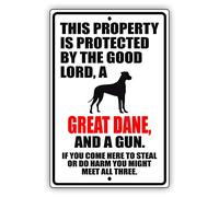 Targa in metallo con scritta "This Property Is Protected By The Good Lord A Great Dane Dog", 30,5 x 20,3 cm