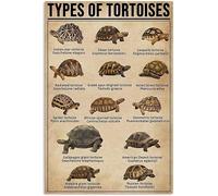 Targa in metallo con scritta "Types of Tortoises", per bagno, divertente, retrò, decorazione per club, pub, bar, 20,3 x 30,5 cm