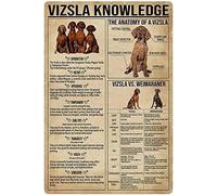 Targa in metallo con scritta "Vizsla Knowledge", poster con infografica sull'anatomia di un Vizsla, per scuola, fattoria, casa, cucina, club, decorazione murale, 12x16 pollici