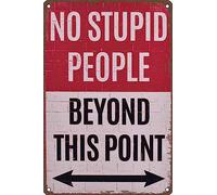 Targa in metallo con scritta "Warning No Stupid People Beyond This Point", rustica, vintage, decorazione da parete per casa, bagno, giardino, bar, ristoranti, caffè, ufficio, negozio, 30,5 x 20,3 cm