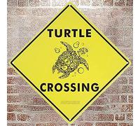 Targa in metallo con tartaruga che attraversa Xing Farm Organic Country Yard Sign in alluminio cartello stradale per interni ed esterni decorazione da parete 20 x 20 cm