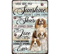 Targa in metallo decorativa con Cavalier King Charles Spaniel You are My Sunshine, regalo chic art decorazione da parete in metallo, divertente targa in ferro, regalo per soggiorno e ufficio, 20,3 x