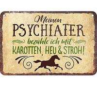 Targa in metallo divertente con scritta in lingua tedesca "Meine Psychiater BEZAHLE ." decorativa da appendere, idea regalo per tutti i proprietari di cavalli o appassionati di cavalli, 18 x 12 cm
