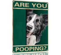 Targa In Metallo Dog Border Collie Are You Pooping Cartelli In Latta Aziendale Segno Di Latta Per Club Toilette Man Cave M