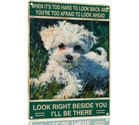 Targa In Metallo Maltese Dog Look Right Beside You Arte Murale Stile Divertente Cartello In Metallo Per Bagno Man Cave Decorazione Murale S
