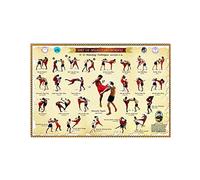 Targa In Metallo Muay Thai Boran Knowledge 23 Attacking Techniques Infographic Quadri Metallo Parete Addobbi Per Giardino Toilette Bar Ufficio S