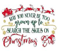 Targa in metallo retrò, 14 x 20 cm, con scritta in lingua inglese "May You Never Be Too Grown Up to Search The Skies On Christmas Eve", decorazione da parete per casa, soggiorno, camera da letto