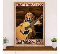 Targa in metallo retrò, 14 x 20 cm, motivo: Golden Retriever I Play Guitar & Know Things, poster musicale a forma di chitarra, divertente decorazione da parete, decorazione artistica nostalgica