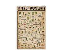 Targa in metallo retrò 14 x 20 cm Tipi di piante grasse poster di conoscenza succulenta poster arte da parete succulente decorazione da parete giardinaggio decorazione murale poster divertente