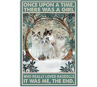 Targa in metallo retrò con gatto Ragdoll, There Used to Be A Girl Who Liked Cats Very Much, interessante poster in alluminio per bar, grotta, caffè, famiglia, bagno, garage, decorazione da parete, 20