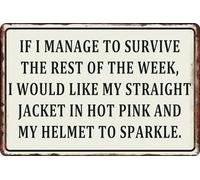 Targa in metallo retrò con scritta "If I Manage To Survive I would like my straight jacket in hot pink and my helmet to sparkle", divertente cartello per casa, cucina, garage, grotta, decorazione da
