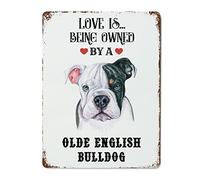 Targa in metallo retrò Love is Being Owned by A Old English Sheepdog, targa decorativa in metallo con cane da pastore inglese, targa vintage da parete per inaugurazione della casa, 40,6 x 30,5 cm
