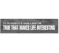 Targa in metallo retrò primitiva con scritta in lingua inglese "It's The Possibility of Having A Dream Come True That Makes Life Interesting", da appendere per uomini e donne, decorazione per la casa