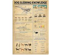 Targa in metallo retrò "Sleddog Knowledge", Anatomia di una slitta trainata da cani, poster per animali domestici, club, bar, caffetteria, soggiorno, garage, casa, decorazione da parete, targa in fer