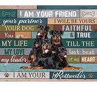 Targa in metallo Rottweiler, poster, "Sono il tuo amico, compagno, cane, retro, in latta, regalo per bagno, ristorante, fattoria, camera da letto, bar, scuola, decorazione da parete vintage, 8x12 pol