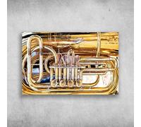 Targa in metallo stile vintage Tuba Addicts Tuba Musical Instrument The Tuba Is Certainly The Most Intestinal Of Instruments Targa da parete in metallo stile vintage, decorazione da parete in metallo, 20,3 x 30,5 cm