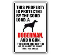 Targa In Metallo This Property Is Protected By The Good Lord A Doberman Dog Retrò Poster Decorazione Da Parete Impermeabili Poster Segno, Per Sala Da Pranzo, Uffici, Cucina, 20x30cm