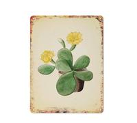 Targa in metallo vintage con cactus, succulente, decorazione murale del deserto, targa in metallo per cucina, fattoria, decorazione da parete in alluminio, decorazione da giardino, ristorante, soggi