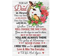 Targa in metallo vintage con cardinale per il mio papà in paradiso con scritta in inglese "No ither time or reason will change the way I feel", poster decorativo da parete per bar, casa, bagno, 30,5 x