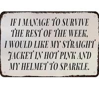 Targa in metallo vintage con scritta "If I Manage to Survive I would like my straight jacket in Hot Pink and My Helmet to Sparkle", divertente decorazione artistica da parete per casa, camera da letto