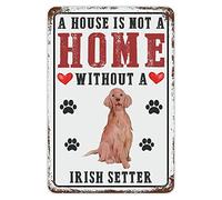Targa in metallo vintage con scritta in lingua inglese "A House Is Not A Home Without A Dog" Setter irlandese, targa in metallo per casa, cucina, bar, 20,3 x 30,5 cm
