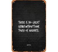 Targa in metallo vintage con scritta in lingua inglese "There is no great genius without some touch of madness - Aristotele, 30,5 x 20,3 cm