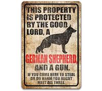 Targa in metallo vintage con scritta in lingua inglese "Tnis Property is Protected by The Good Lord, a German Shepherd and a Gun Metal Signs Pub, Club,Bar,Restaurant,Coffee Bar,Vintage", 20,3 x 30,5