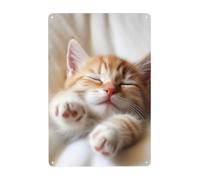 Targa in metallo vintage con scritta "Kitten Sleeps", decorazione artistica da parete, in metallo, per garage, bar, patio, decorazione da parete, regalo per uomini e donne, 30,5 x 20,3 cm, per esterni