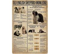 Targa in metallo vintage con scritta "Old English Sheepdog Knowledge", poster retrò con scritta "The Anatomy of an Old English Sheepdog", decorazione da parete per casa, cucina, ufficio, club, bar, p