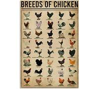 Targa in metallo vintage divertente con razze di polli, 20 x 30 cm.