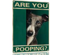 Targa In Metallo Whippet Dog Are You Pooping Segno Di Latta Aziendale Metal Tin Signs Per Toilette Club Man Cave M