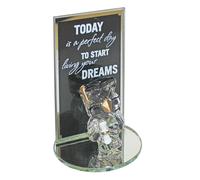 Targa In Vetro A Forma Di Gufo Per Laurea Con Scritta 9Cm X 6Cm