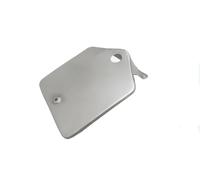 Targa parafango posteriore Bsa C10 C11