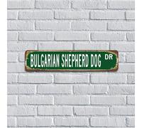 Targa rustica in alluminio con cane da pastore bulgaro, cartello verde per amanti degli animali, souvenir per negozi, ufficio, decorazione per la casa, 10 x 45 cm
