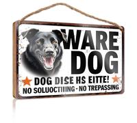 Targa rustica in legno con scritta in inglese "Beware Of The Dog: No Soliciting, No Trespassing", divertente cartello artistico per bagno o dispensa in legno per cucina (15 x 28 cm)