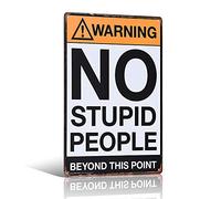 Targa rustica in metallo con scritta "Warning No Stupid People Beyond This Point", decorazione da parete, 20,3 x 30,5 cm