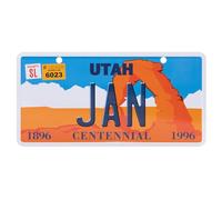 Targa statale americana con nome. Targhetta in alluminio da parete, lavagna, targa da porta, targa americana con ventose (JAN)