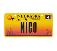 Targa statale americana con nome. Targhetta in alluminio da parete, lavagna, targa da porta, targa americana con ventose (NICO)