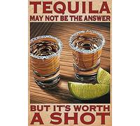 Targa vintage in latta con scritta in lingua inglese "Tequila May Not Be The Answer But It's Worth A Shot", in alluminio, 20,3 x 15,2 cm, decorazione da parete