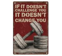 Targa vintage in metallo con scritta in inglese "If It Dodn't Challenge You It Dodn't Change You" (lingua italiana non garantita) con citazione in lingua inglese, poster retrò in latta per decorazione