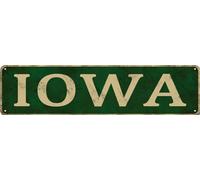 Targa vintage in metallo Iowa con nome dello stato americano, divertente, decorazione artistica da parete, poster per casa, bar, fattoria, ufficio, casa, aule, garage, interni ed esterni, idea regalo