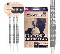 Target Darts Raymond Van Barneveld RVB 25 Year Edition 18G 95% Set di Freccette con Punta Morbida in tungsteno